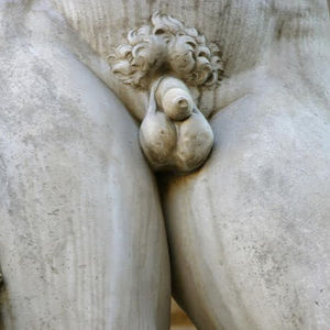 Meet your Posher, Mykel